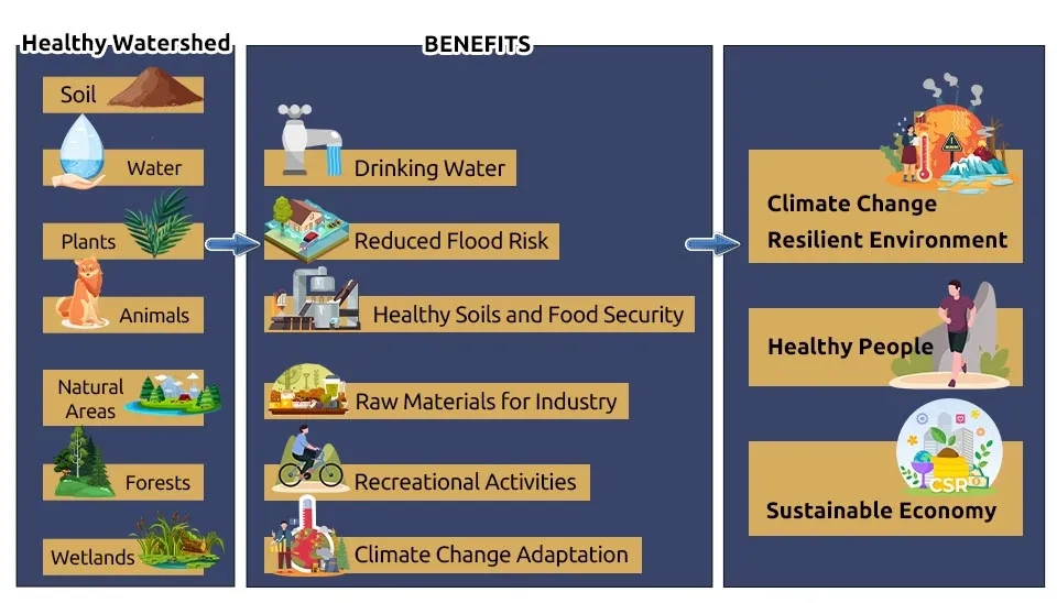 Benefits of healthy watersheds