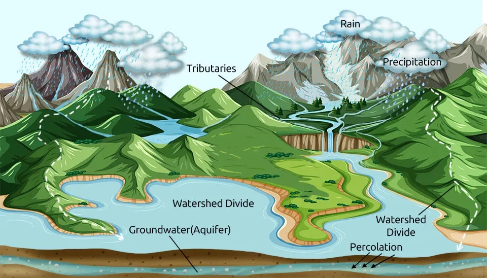 Elements of a watershed