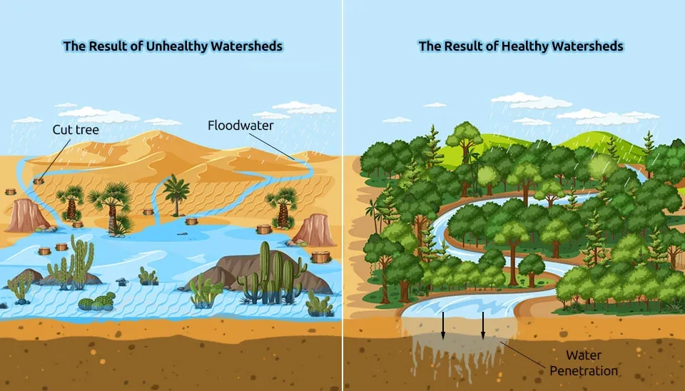 Healthy Watershed Vs Unhealthy watershed