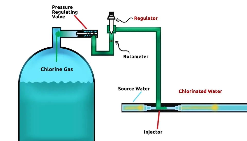 Disinfection Eliminates Harmful Microorganisms.