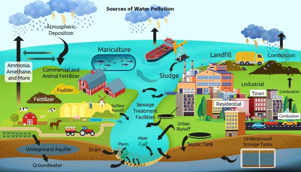 Human Activities Threaten Watershed Health 