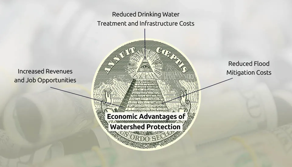 Watershed protection brings economic advantages