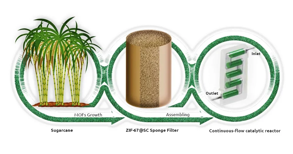 A sample of sugarcane membrane