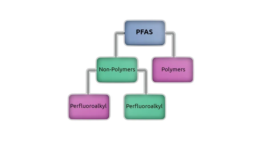  A simplified hierarchy of PFAS substances