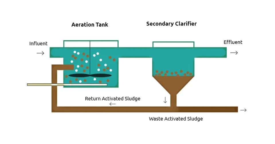 Activated sludge process