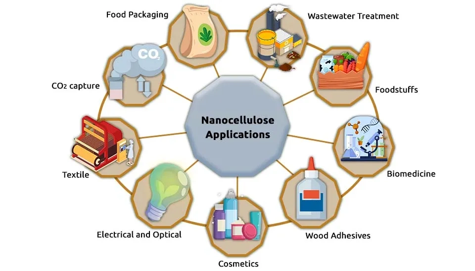 Fig. 5: Infographic wheel displaying nanocellulose applications including packaging, biomedicine, textiles, wastewater treatment, and cosmetics.