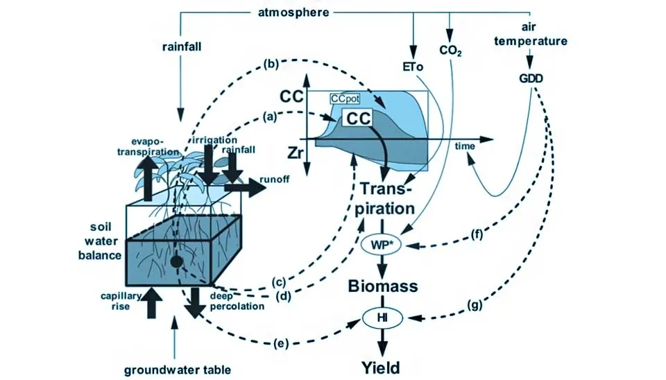 Flowchart depicting the calculation steps within the AquaCrop model, illustrating the key processes involved in simulating crop growth and yield