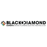 Black Diamond Experts Electric Plumbing HVAC