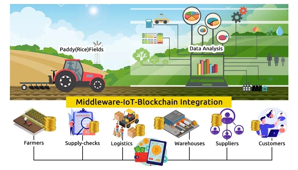 A diagram showcasing Blockchain integration with IoT in a smart agriculture setting. It depicts data flow from paddy fields to various stakeholders, including farmers, suppliers, and customers, highlighting the role of blockchain in enhancing efficiency and transparency.