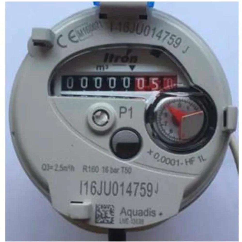 CT5-S20M- 20mm Totaliser Positive Displacement Flowmeter