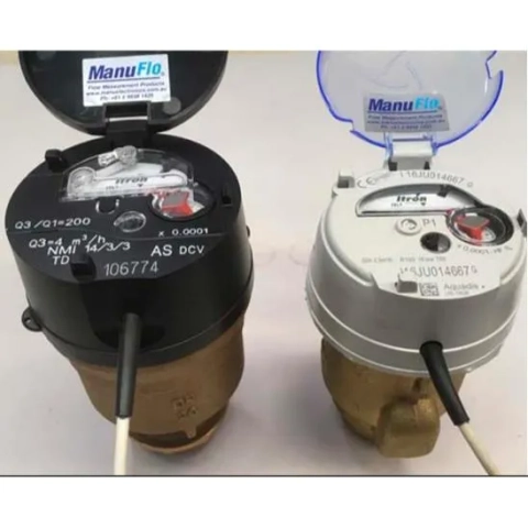 CT5-S20M- 20mm Totaliser Positive Displacement Flowmeter