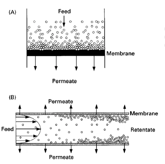 Diagram showing the difference between dead-end and cross-flow microfiltration operation modes