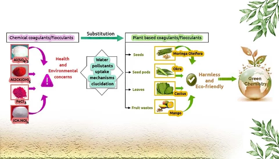 Different types of coagulants