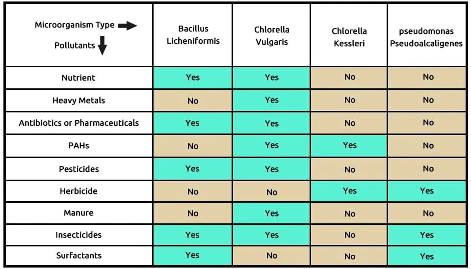 Table 5 showing the ability of the CC-BP microalgae-bacterial consortium (comprising Bacillus licheniformis, Chlorella vulgaris, Chlorella kessleri, and Pseudomonas pseudoalcaligenes) to remove nine different types of emerging contaminants from wastewater, including nutrients, heavy metals, antibiotics, pharmaceuticals, PAHs, pesticides, herbicide, manure, insecticides, and surfactants.