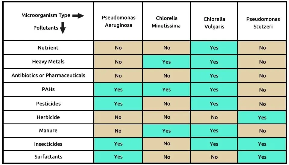 A table showing the ability of the CC-PP microalgae-bacterial consortium (comprising Pseudomonas aeruginosa, Chlorella minutissima, Chlorella vulgaris, and Pseudomonas stutzeri) to remove nine different types of emerging contaminants from wastewater, including nutrients, heavy metals, antibiotics, pharmaceuticals, PAHs, pesticides, herbicide, manure, insecticides, and surfactants.