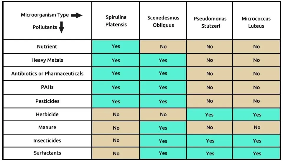 Table 6 showing the ability of the SS-PM microalgae-bacterial consortium (comprising Spirulina platensis, Scenedesmus obliquus, Pseudomonas stutzeri, and Micrococcus luteus) to remove nine different types of emerging contaminants from wastewater, including nutrients, heavy metals, antibiotics, pharmaceuticals, PAHs, pesticides, herbicide, manure, insecticides, and surfactants.