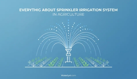 Everything About Sprinkler Irrigation System in Agriculture