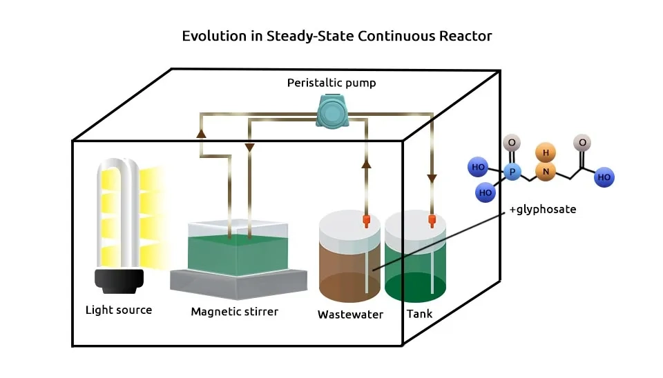 A diagram illustrating the evolution of glyphosate degradation in a continuous reactor system. The system includes a light source, a magnetic stirrer, a wastewater tank, and a peristaltic pump. The diagram shows the flow of wastewater through the system and the gradual degradation of glyphosate over time. The chemical structure of glyphosate is also shown.