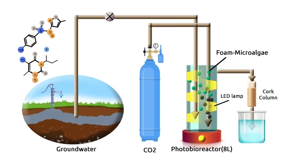 A diagram illustrating the experimental setup for foam-microalgae-based groundwater remediation. Groundwater is extracted from the soil and pumped into a photobioreactor containing foam-entrapped microalgae. The photobioreactor is illuminated with an LED lamp and supplied with CO2. The treated water is then collected from the bottom of the photobioreactor. The diagram also shows the chemical structures of various pollutants present in the groundwater.