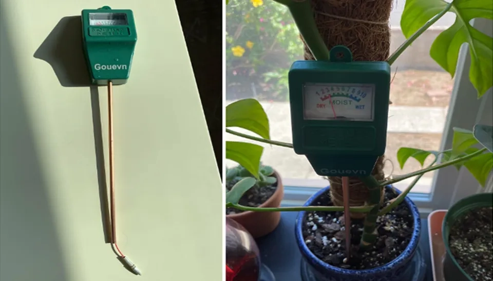 Gouevn Plant Soil Moisture Meter The tip fell off and broke (Left)  It shows “dry” in the soil of a plant that has just been watered (Right)