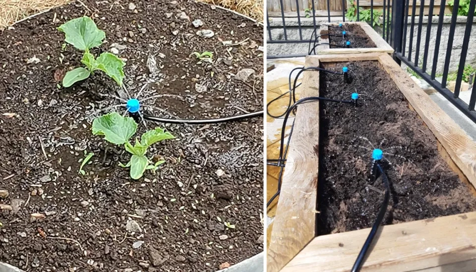 The HIRALIY Drip Irrigation System is utilized for watering garden plants.