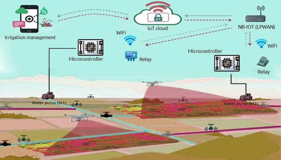 Hydroinformatics Applications in Irrigation Management