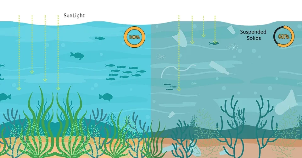 Importance of total suspended sediment monitoring by remote sensing