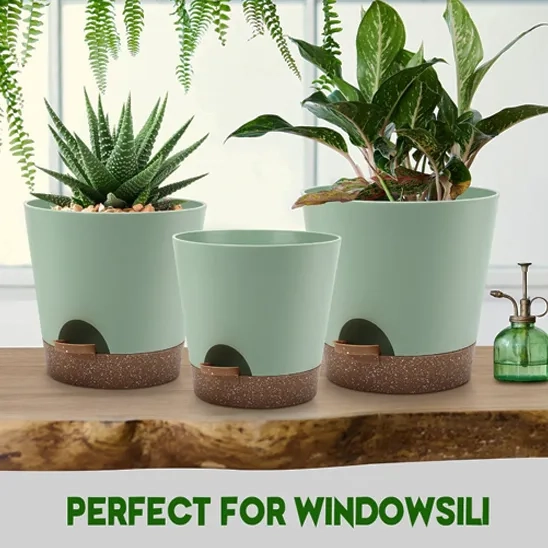 Three Indoor YNNICO Self Watering Planters are placed on windowsill.