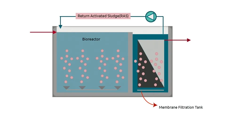 Membrane Bioreactor Combines biological treatment with membrane filtration