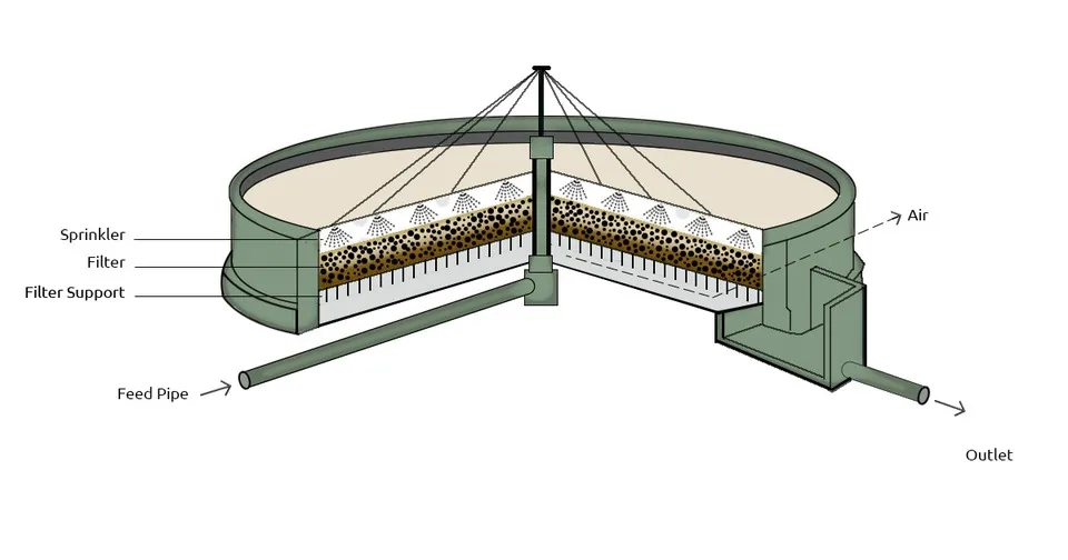 Microbes break down pollutants in the wastewater as it trickles through the filter media.