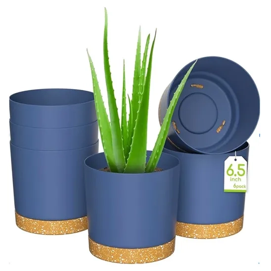 A set of six 6.5 inch ZMTECH self watering planter, which Aloe Vera is planted in one of them.