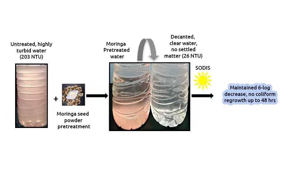 Moringa oleifera seed powder used as a natural coagulant for water and wastewater treatment 