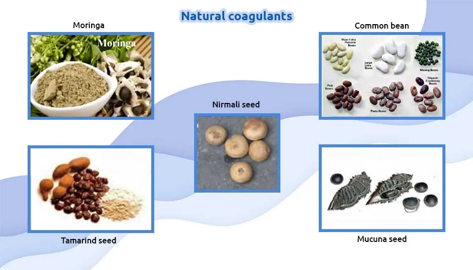 Natural coagulants used in wastewater treatment