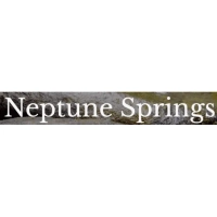 Neptune Springs LLC logo featuring a stylized blue and white design, representing specialized Pentair water treatment and filtration solutions in Tampa, FL