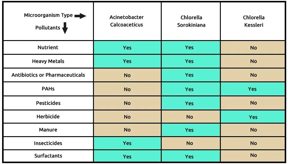 Table showing the ability of the CC-A microalgae-bacteria consortium (comprising Acinetobacter calcoaceticus, Chlorella sorokiniana, and Chlorella kessleri) to remove nine different types of emerging contaminants from wastewater, including nutrients, heavy metals, antibiotics, pharmaceuticals, PAHs, pesticides, herbicide, manure, insecticides, and surfactants.