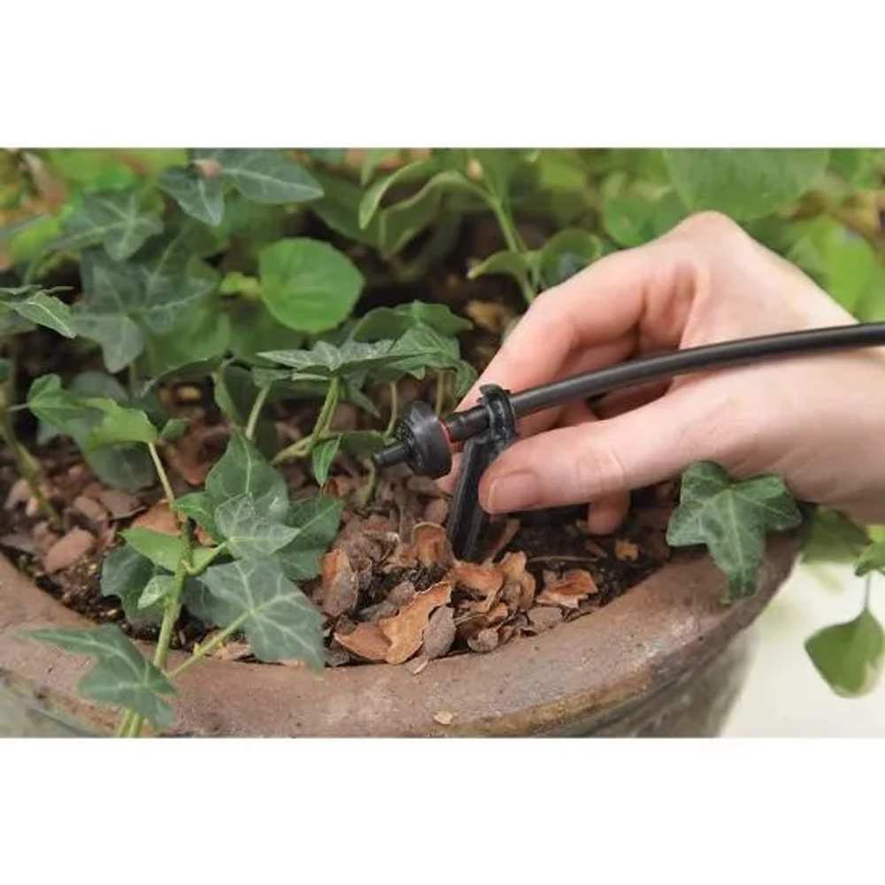 Raindrip R560DP Automatic Watering Kit