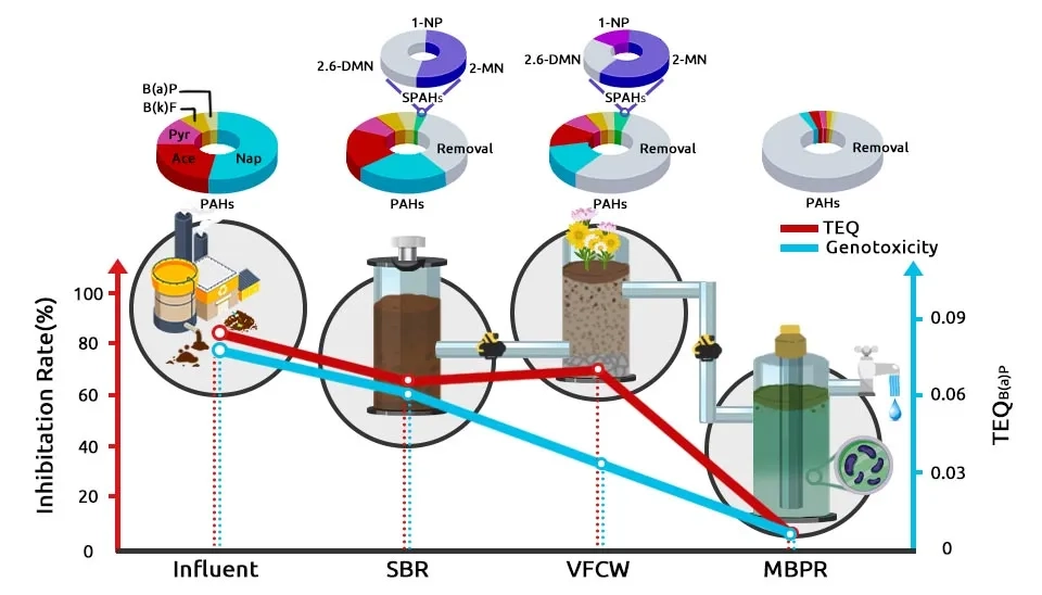 A diagram showing the removal efficiency and toxicity reduction of different Polycyclic Aromatic Hydrocarbons (PAHs) in four wastewater treatment processes: Influent, SBR (Sequencing Batch Reactor), VFCW (Vertical Flow Constructed Wetland), and MBPR (Membrane Bioreactor). The diagram includes pie charts representing the relative abundance of different PAHs in each stage and a line graph showing the reduction in Total Equivalent Quantity (TEQ) and genotoxicity across the treatment processes.