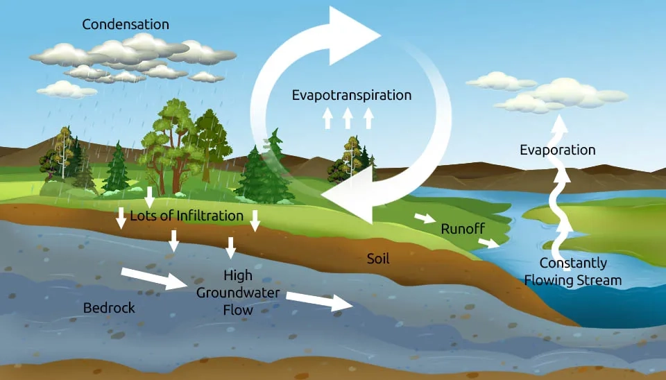 Role of Evapotranspiration in Earth’s Dynamic Processes