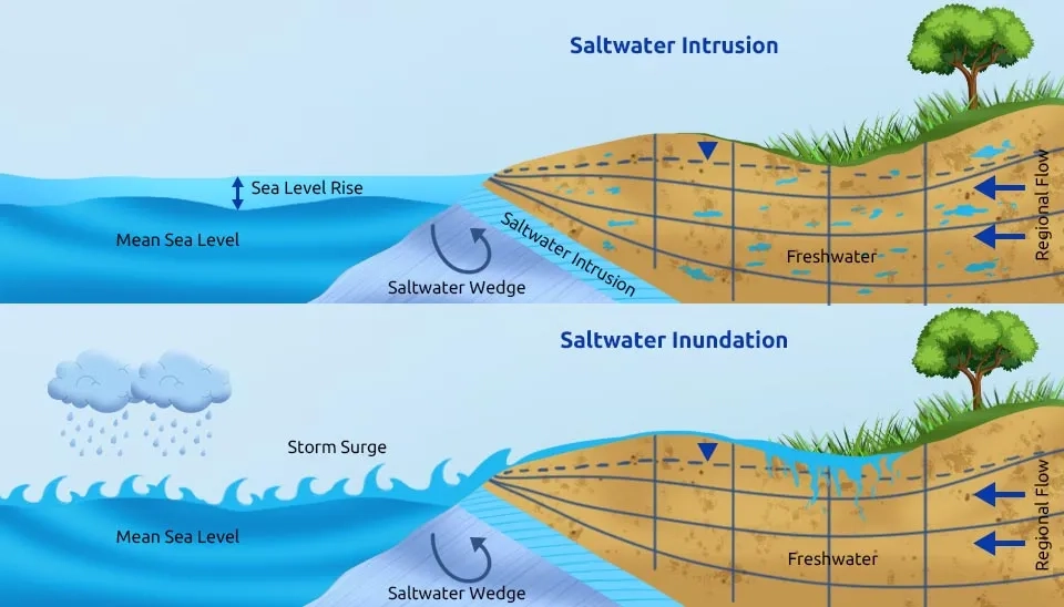 Saltwater intrusion due to an increase in ocean water level