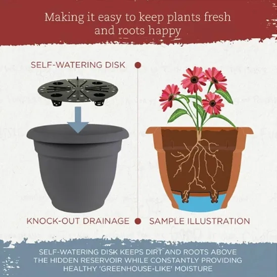 The self watering disk in Bloem plastic self watering planter helps the self-watering by keeping the soil protected.