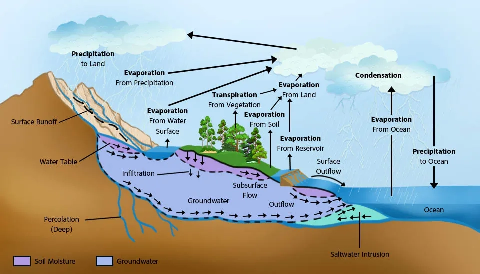 A diagram illustrating the water cycle, showing how water evaporates from oceans and land, condenses into clouds, and falls as precipitation. The water then flows over the land as runoff or infiltrates into the ground.