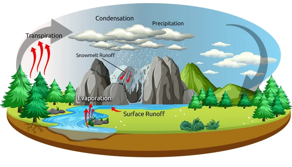 A diagram illustrating the water cycle, showing how water evaporates from oceans and land, condenses into clouds, and falls as precipitation. The water then flows over the land as runoff or infiltrates into the ground