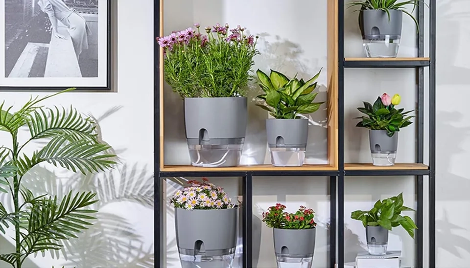 Six ETGLCOZY self watering planters are Placed on shelves, which creates a minimal design.