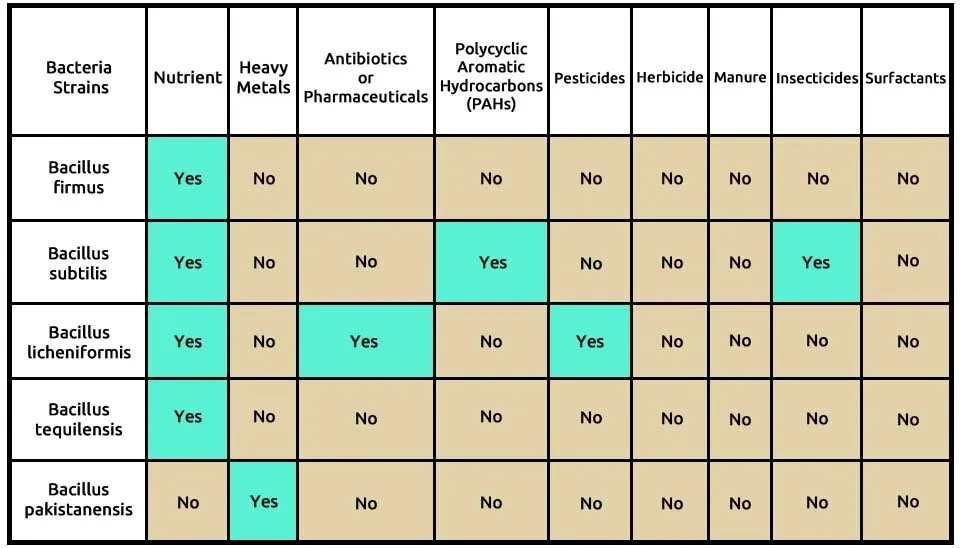 Table showing a list of bacteria strains and their ability to remove different types of pollutants, including nutrients, heavy metals, antibiotics, pharmaceuticals, polycyclic aromatic hydrocarbons (PAHs), pesticides, herbicides, manure, insecticides, and surfactants.