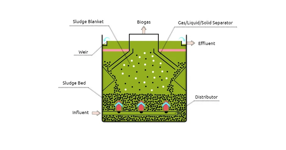 UASB reactors treat wastewater using upward flowing sludge