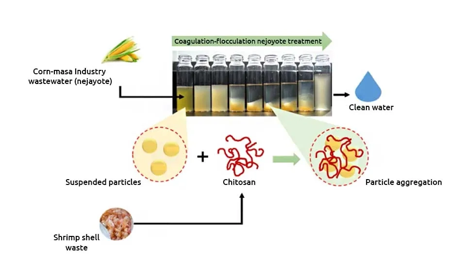 Using chitosan as a coagulant in wastewater treatment