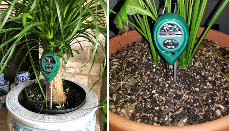 VIVOSUN 3-in-1 Plant Soil Moisture Meter  Very helpful to inform when to water indoor plants and to keep plants healthy