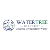 Water Tree Oak Forest