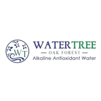 Water Tree Oak Forest