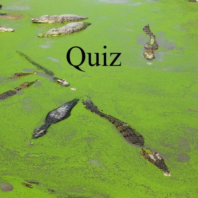 Aquatic Ecosystem-Based Algal Bloom Controls